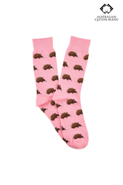 Australian Cotton Socks - Echidna