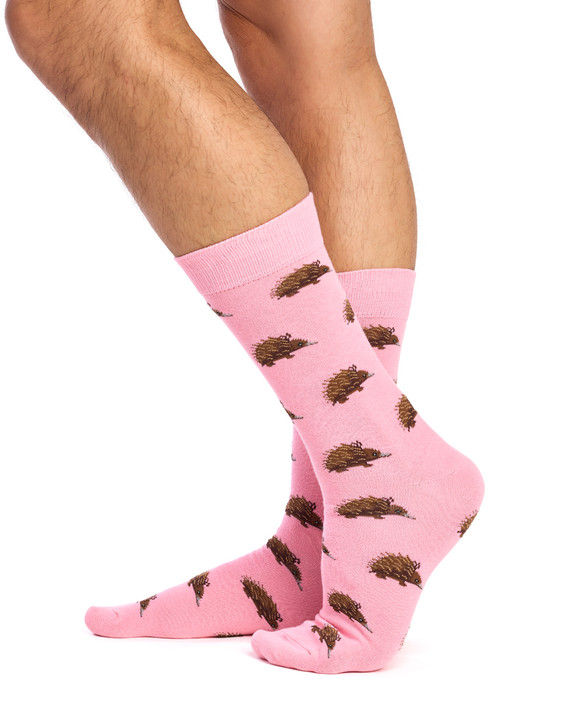 Australian Cotton Socks - Echidna