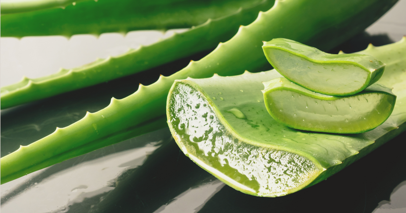 Are Aloe Vera Infused Socks Good For Your Feet?