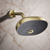 KOHLER STATEMENT MF SHOWERHEAD 26290T-AF FRENCH GOLD