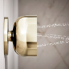 KOHLER STATEMENT ROUND DEEPMSG BODY SPRAY 26299T-AF FRENCH GOLD