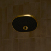 KOHLER STATEMENT MF SHOWERHEAD 26290T-2MB BRUSHED MODERNE BRASS