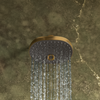KOHLER STATEMENT MF SHOWERHEAD 26290T-2MB BRUSHED MODERNE BRASS