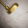 KOHLER STATEMENT MF SHOWERHEAD 26290T-2MB BRUSHED MODERNE BRASS