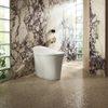 KOHLER VEIL INTELLIGENT TOILET 5401ID-0
