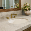 KOHLER CAXTON 19" OVAL UNDERCOUNTER LAVATORY 2211ID-0
