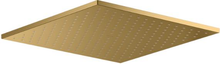 CONTEMPORARY RAINHEAD 12" WITH WATER MIND  SQUARE 33411T-2MB BRUSHED MODERNE BRASS