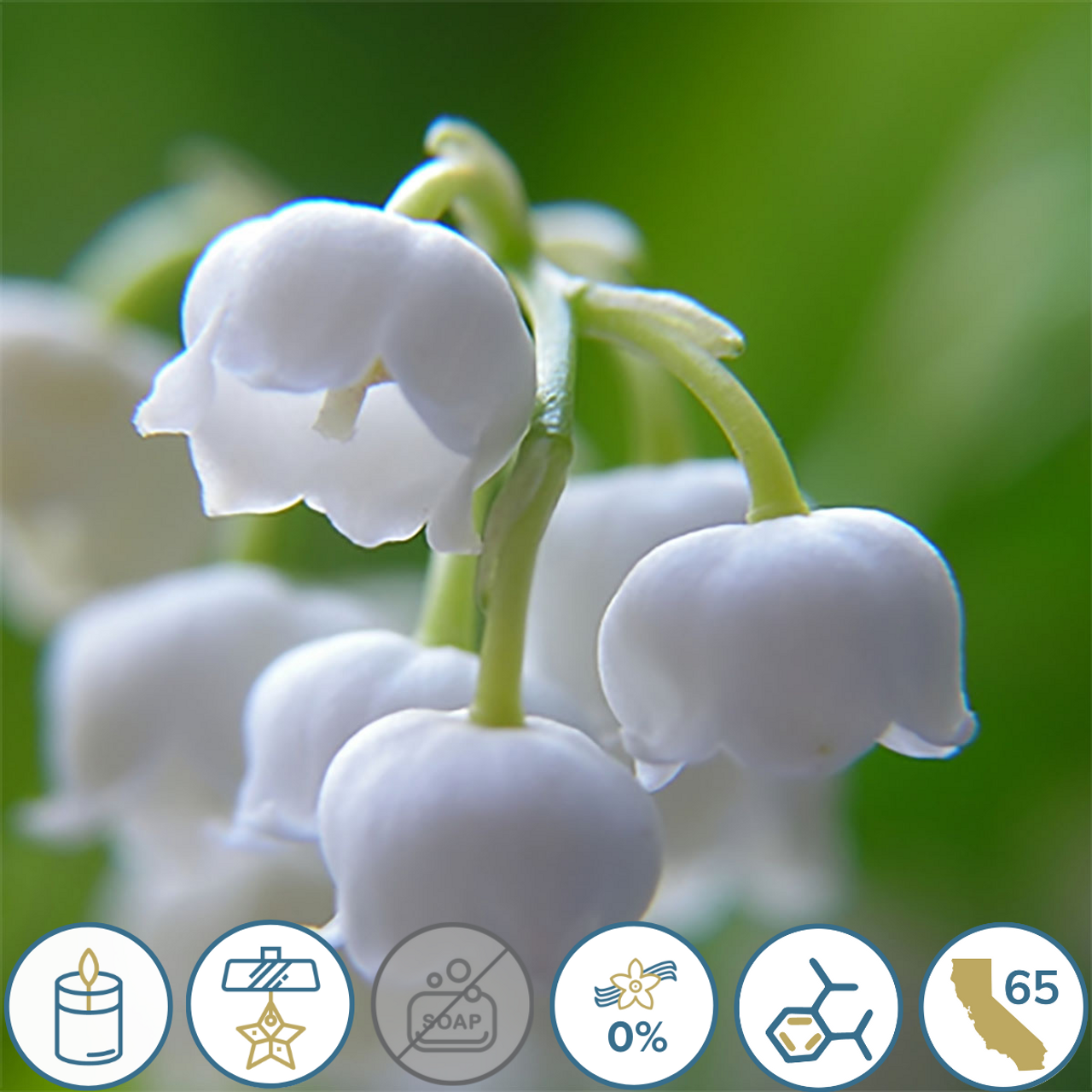 Lily of the Valley Fragrance Oil - CandleScience