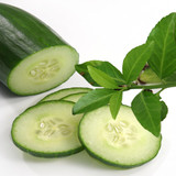 Sliced cucumber and green leaves on white — scent inspiration for Green Tea & Cucumber fragrance oil