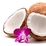Halved coconut with pink orchid flower on white — scent inspiration for Caribbean Escape fragrance oil