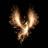 Orange-gold sparks fanning out like wings on black — scent inspiration for Black Night Phoenix fragrance oil