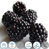 Blackberry Amber (type) Fragrance Oil