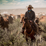 Cowboy on horseback herding horses through sagebrush — scent inspiration for Ranch Hand fragrance oil
