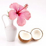 Pink hibiscus in a white pitcher beside half a coconut — scent inspiration for Coconut Hibiscus fragrance oil