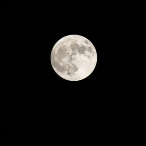 Bright full moon against a black night sky — scent inspiration for Midsummer's Night fragrance oil