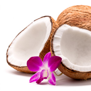Halved coconut with pink orchid flower on white — scent inspiration for Caribbean Escape fragrance oil