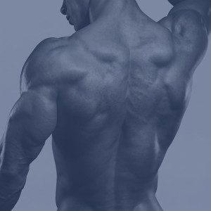 Muscular bare male back tinted blue — scent inspiration for Blue fragrance oil