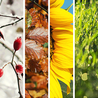 Seasons