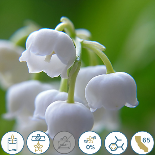 Lily of the Valley 1 Fragrance Oil