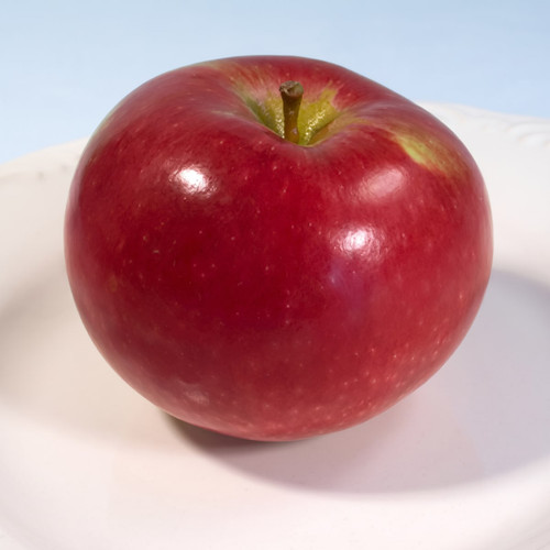 Single red apple on a white plate, blue background — scent inspiration for Macintosh Apple fragrance oil
