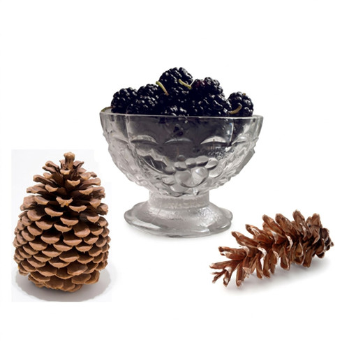 Glass bowl of blackberries beside pine cones — scent inspiration for Christmas Mulberry fragrance oil