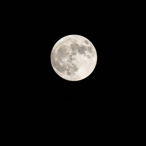 Bright full moon against a black night sky — scent inspiration for Midsummer's Night fragrance oil
