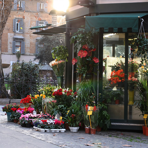 Outdoor flower stall with potted red and pink blooms — scent inspiration for French Market fragrance oil