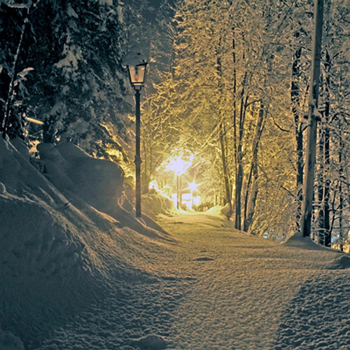 Snowy path with a glowing lamppost among snowy trees — scent inspiration for Sweet Snow fragrance oil