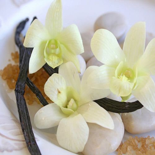 Pale orchids, vanilla beans and stones on a white dish — scent inspiration for Warm Vanilla Sugar fragrance oil
