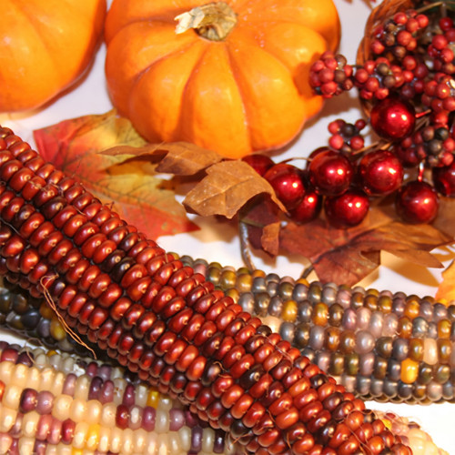 Pumpkins, red berries, autumn leaves and Indian corn — scent inspiration for Harvest fragrance oil