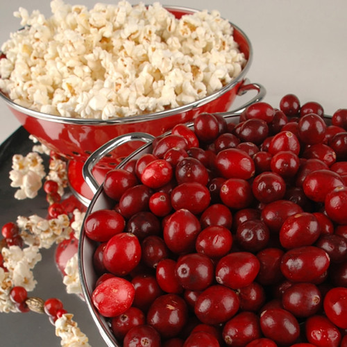 Red bowls of popcorn and cranberries on gray — scent inspiration for Cranberry Kettle Corn fragrance oil