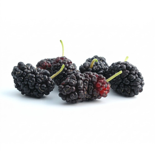 Five dark mulberries on white background — scent inspiration for Mulberry fragrance oil