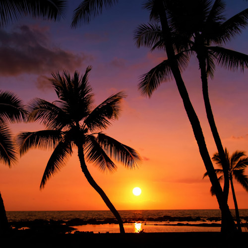 Silhouetted palm trees against an orange sunset beach — scent inspiration for Hawaiian Blast fragrance oil