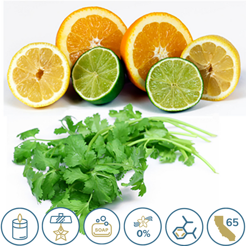 Citrus Cilantro (type) Fragrance Oil