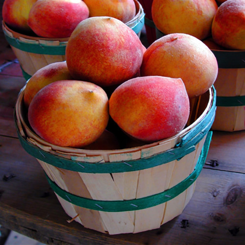 Wooden baskets of red-yellow peaches on wood — scent inspiration for Georgia Peach fragrance oil