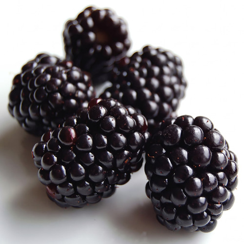Cluster of dark blackberries on white background — scent inspiration for Blackberry Amber fragrance oil