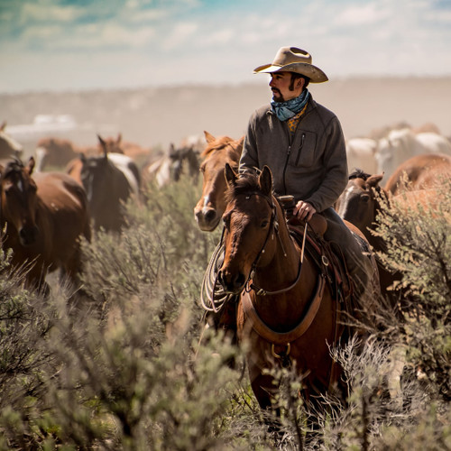 Cowboy on horseback herding horses through sagebrush — scent inspiration for Ranch Hand fragrance oil
