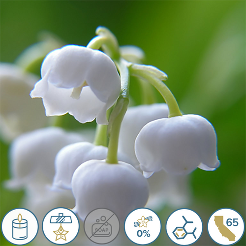 Lily of the Valley Fragrance Oil