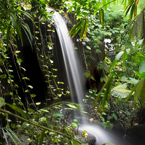Waterfall cascading through lush green jungle foliage — scent inspiration for Rainforest Blossoms fragrance oil