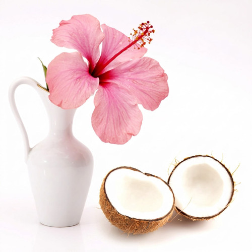 Pink hibiscus in a white pitcher beside half a coconut — scent inspiration for Coconut Hibiscus fragrance oil