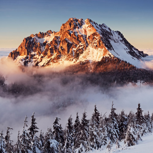 snowy mountain peak above clouds and frosted pines — scent inspiration for Mountain Frost fragrance oil