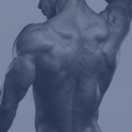 Muscular bare male back tinted blue — scent inspiration for Blue fragrance oil