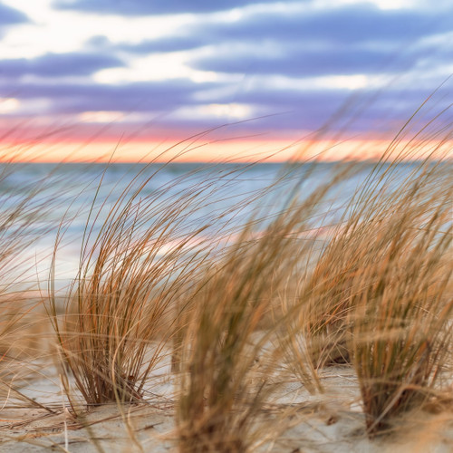 Beach grass on sand dunes against a pastel sunset sea — scent inspiration for Coastal Winds fragrance oil