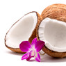 Halved coconut with pink orchid flower on white — scent inspiration for Caribbean Escape fragrance oil