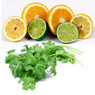 Halved oranges, lemons, and limes above fresh cilantro — scent inspiration for Citrus Cilantro fragrance oil