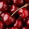 Pile of glossy dark red cherries with stems — scent inspiration for Wild Cherry fragrance oil