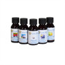 Top Selling Spring Fragrance Oil Sample Pack