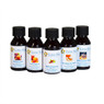 Top Selling Autumn Fragrance Oil Sample Pack