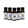 Top Selling Self Care Fragrance Oil Sample Pack