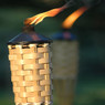 Lit bamboo tiki torch with flame outdoors — scent inspiration for Citronella fragrance oil